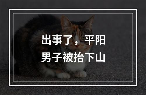 出事了，平阳男子被抬下山