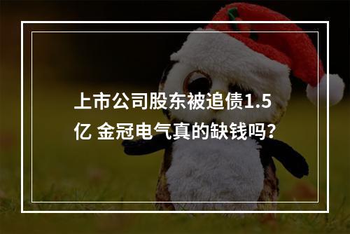 上市公司股东被追债1.5亿 金冠电气真的缺钱吗？