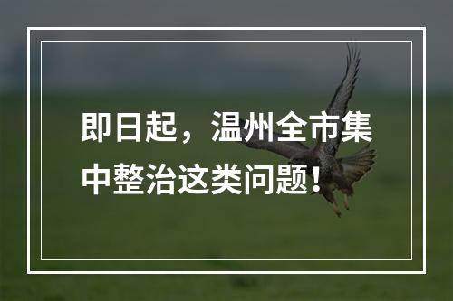 即日起，温州全市集中整治这类问题！