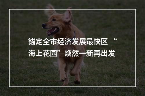 锚定全市经济发展最快区 “海上花园”焕然一新再出发