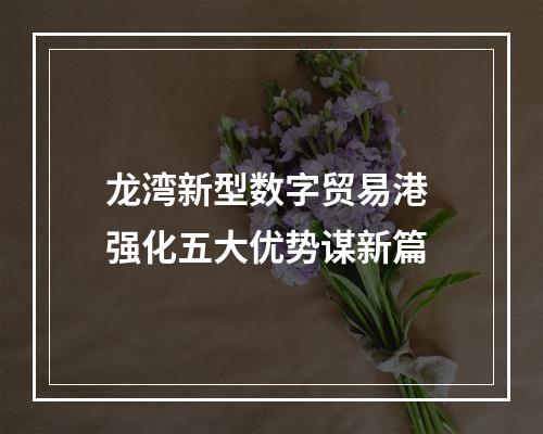 龙湾新型数字贸易港 强化五大优势谋新篇