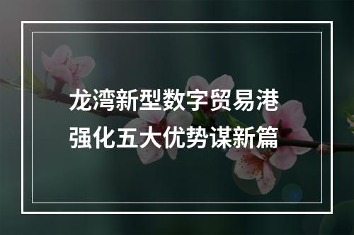 龙湾新型数字贸易港 强化五大优势谋新篇