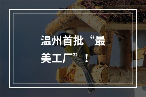 温州首批“最美工厂”！