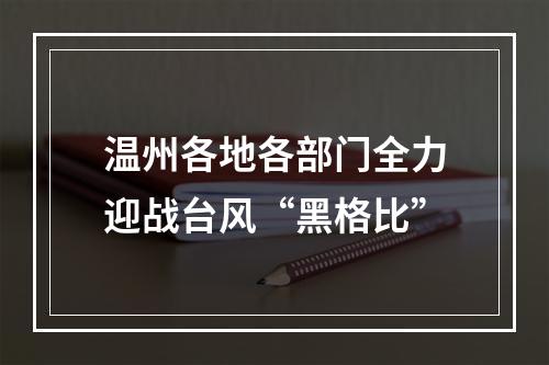温州各地各部门全力迎战台风“黑格比”