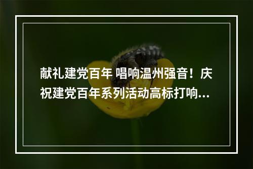 献礼建党百年 唱响温州强音！庆祝建党百年系列活动高标打响“开门炮”