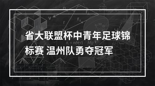 省大联盟杯中青年足球锦标赛 温州队勇夺冠军