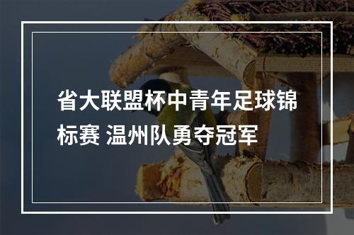 省大联盟杯中青年足球锦标赛 温州队勇夺冠军
