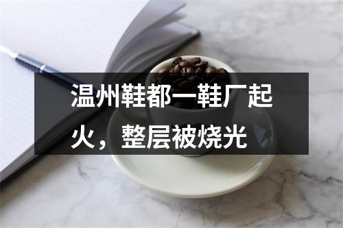 温州鞋都一鞋厂起火，整层被烧光