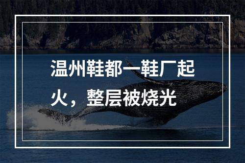 温州鞋都一鞋厂起火，整层被烧光