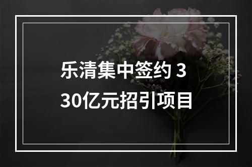 乐清集中签约 330亿元招引项目