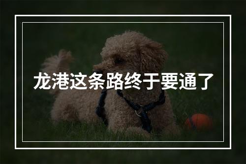 龙港这条路终于要通了