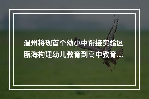 温州将现首个幼小中衔接实验区 瓯海构建幼儿教育到高中教育“无缝供应链”