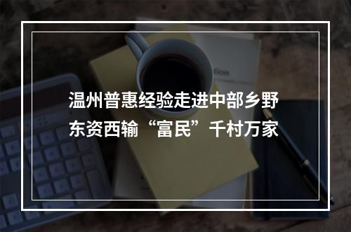 温州普惠经验走进中部乡野 东资西输“富民”千村万家