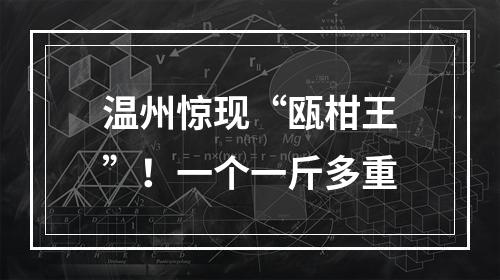 温州惊现“瓯柑王”！一个一斤多重