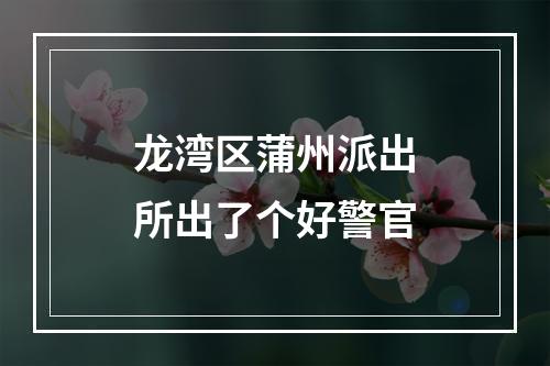 龙湾区蒲州派出所出了个好警官