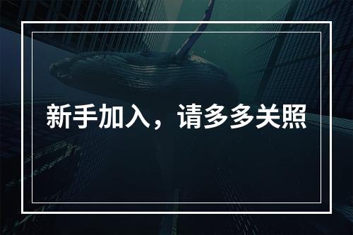 新手加入，请多多关照
