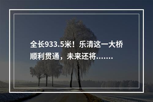 全长933.5米！乐清这一大桥顺利贯通，未来还将......