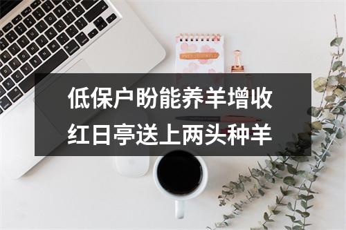 低保户盼能养羊增收 红日亭送上两头种羊