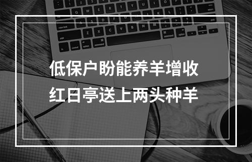 低保户盼能养羊增收 红日亭送上两头种羊