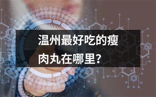 温州最好吃的瘦肉丸在哪里？