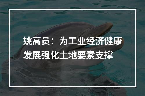 姚高员：为工业经济健康发展强化土地要素支撑