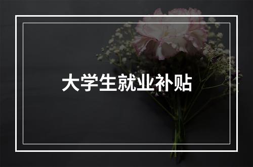 大学生就业补贴