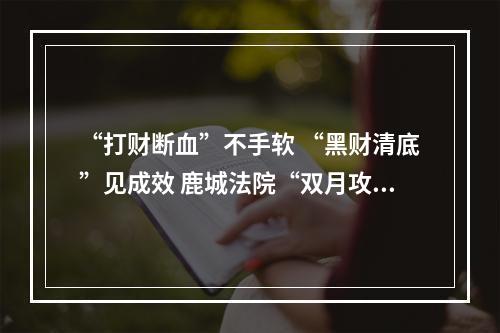 “打财断血”不手软 “黑财清底”见成效 鹿城法院“双月攻坚”全力推进“六清”行动