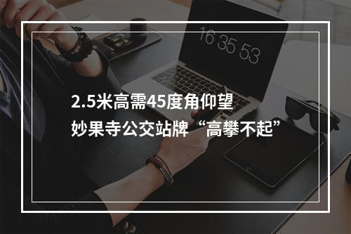 2.5米高需45度角仰望 妙果寺公交站牌“高攀不起”