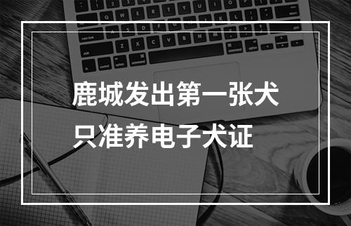 鹿城发出第一张犬只准养电子犬证