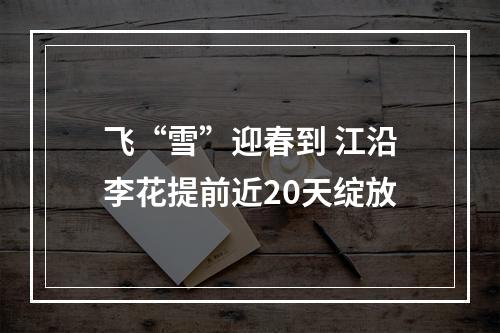 飞“雪”迎春到 江沿李花提前近20天绽放