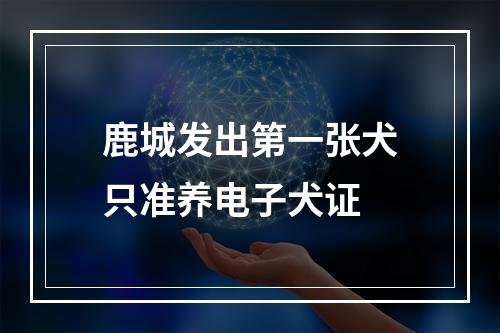 鹿城发出第一张犬只准养电子犬证