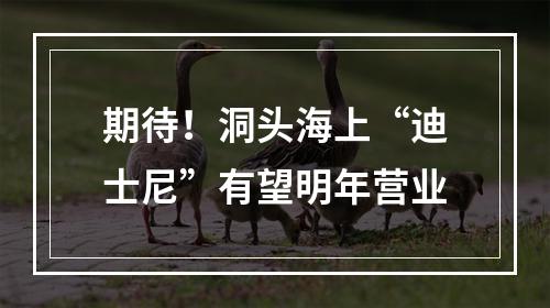 期待！洞头海上“迪士尼”有望明年营业