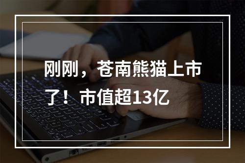 刚刚，苍南熊猫上市了！市值超13亿