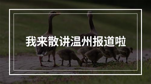 我来散讲温州报道啦