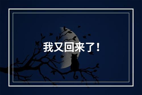 我又回来了！