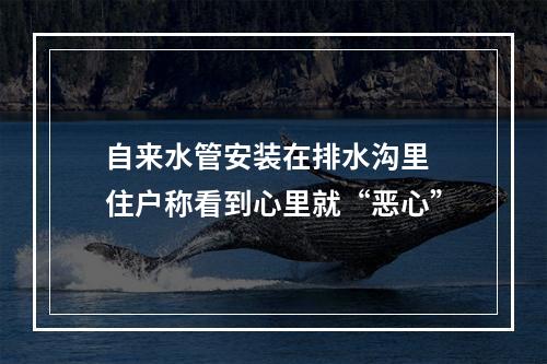 自来水管安装在排水沟里 住户称看到心里就“恶心”