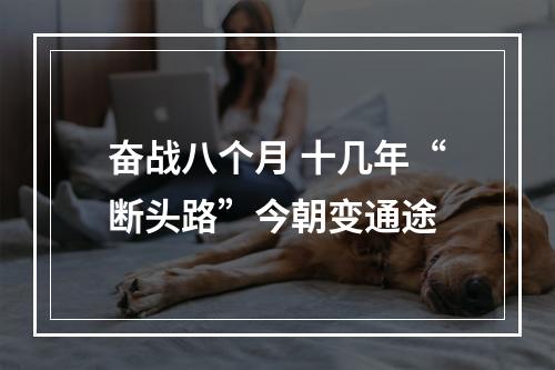 奋战八个月 十几年“断头路”今朝变通途