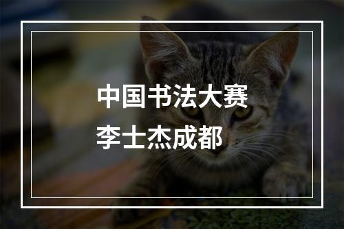 中国书法大赛李士杰成都