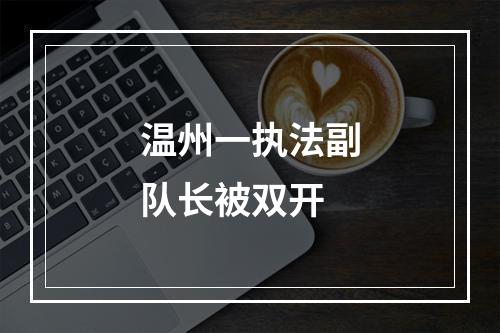 温州一执法副队长被双开