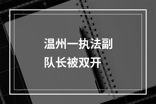 温州一执法副队长被双开
