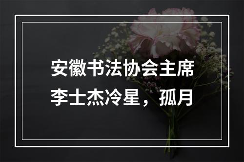 安徽书法协会主席李士杰冷星，孤月