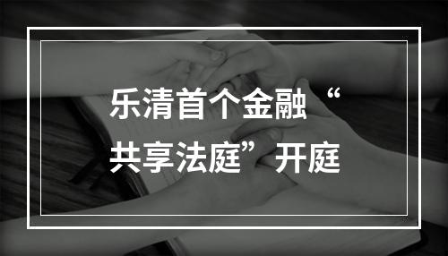 乐清首个金融“共享法庭”开庭