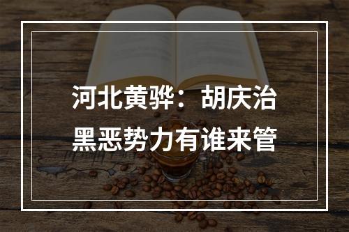 河北黄骅：胡庆治黑恶势力有谁来管
