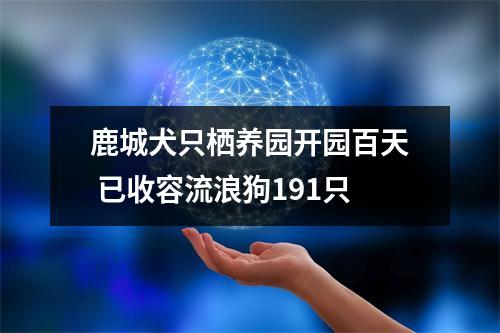 鹿城犬只栖养园开园百天 已收容流浪狗191只