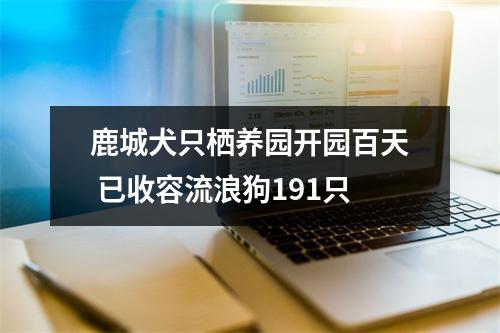 鹿城犬只栖养园开园百天 已收容流浪狗191只
