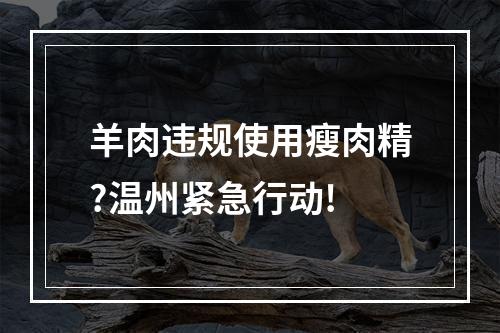 羊肉违规使用瘦肉精?温州紧急行动!