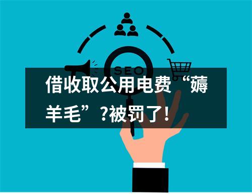 借收取公用电费“薅羊毛”?被罚了!