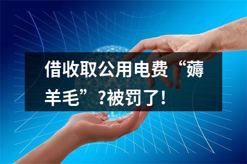 借收取公用电费“薅羊毛”?被罚了!