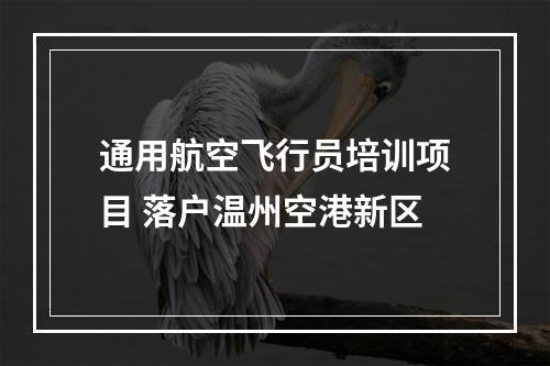 通用航空飞行员培训项目 落户温州空港新区