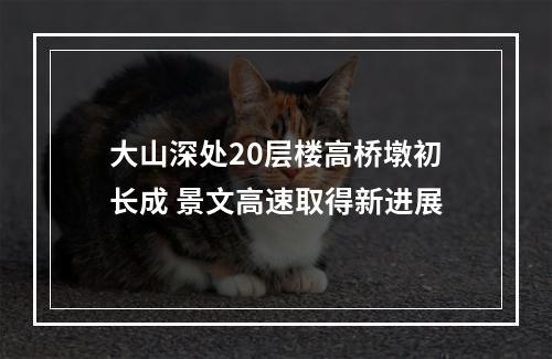 大山深处20层楼高桥墩初长成 景文高速取得新进展